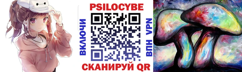 Галлюциногенные грибы Psilocybine cubensis  где продают   Грозный 